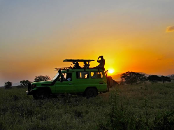 Self drive in East Africa