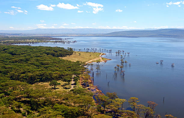 Peaceful view on the lake Nakuru. Africa. Kenya