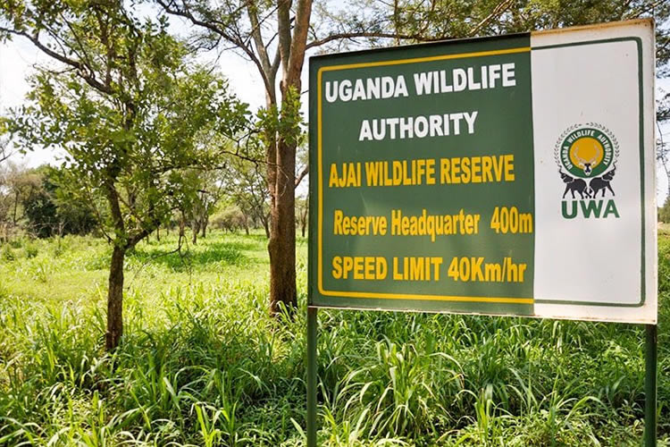 Ajai Gamr reserve