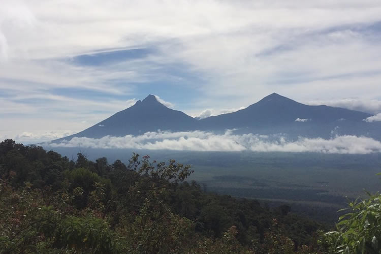 Mt Virungas