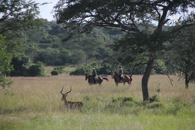 Horse Riding Lake Mburo 