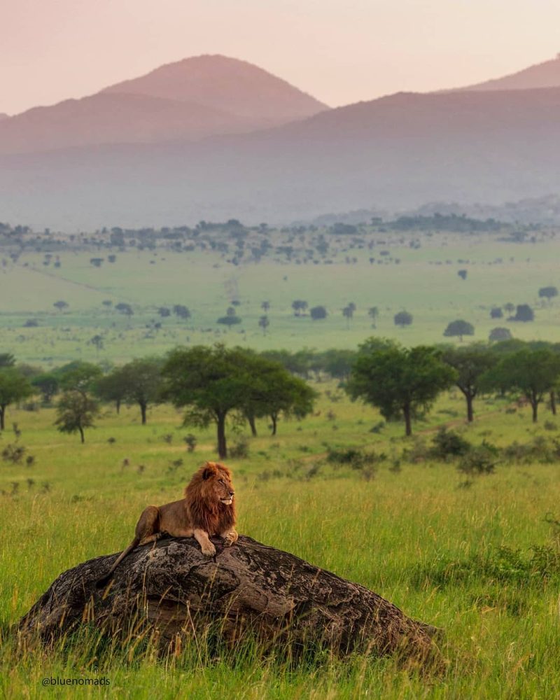 kidepo-valley-national-park-self-drive-uganda-4x4-africa