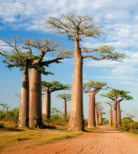 madagascar – what to see