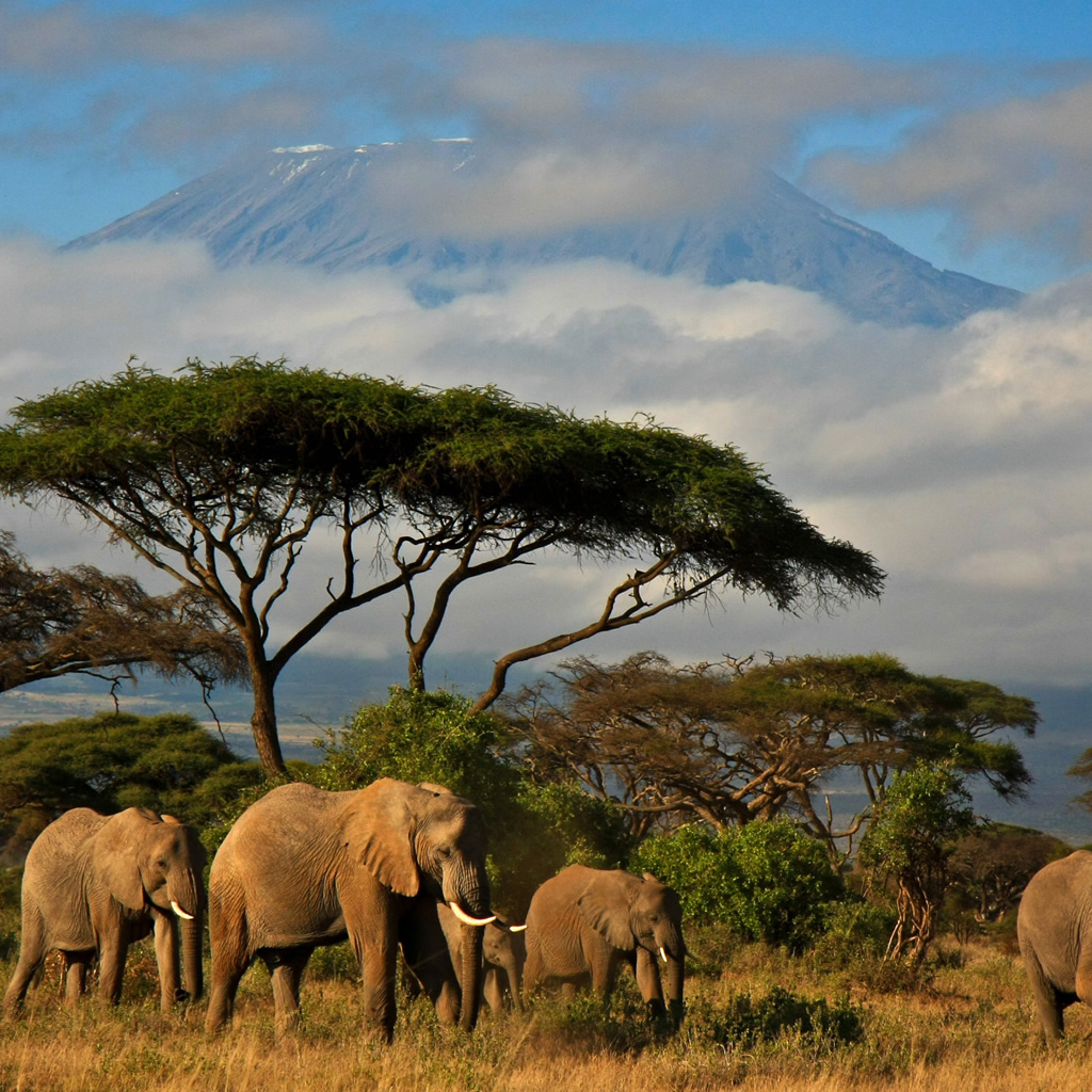 safaris to do in kenya