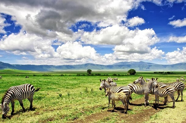 Ngorongoro CA