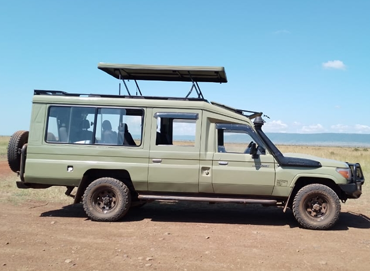 extended land cruiser