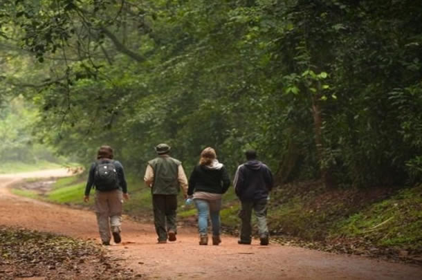 hiking in kakamega forest..