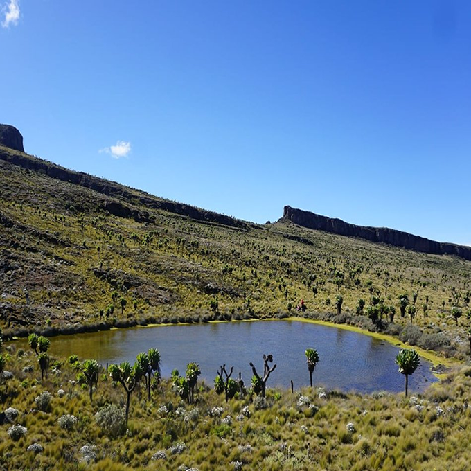 mount elgon
